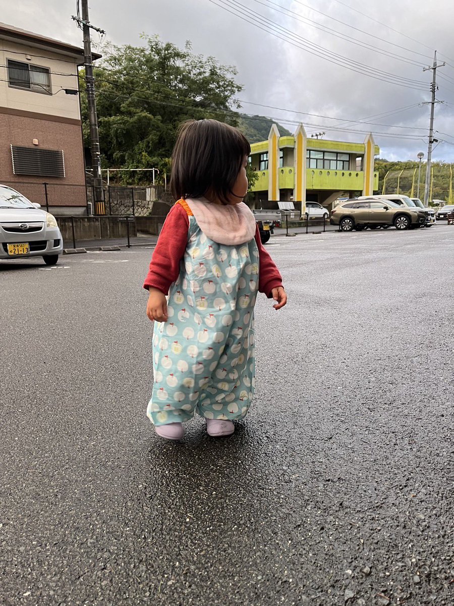 雨の日も晴れの日も
トト(父の呼び名)と
散歩をねだるのです