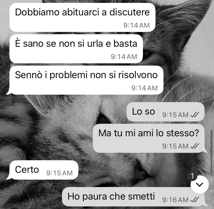 Pov: hai ferite abbandoniche e sei terrorizzata che le persone smettano di amarti non appena ci discuti
