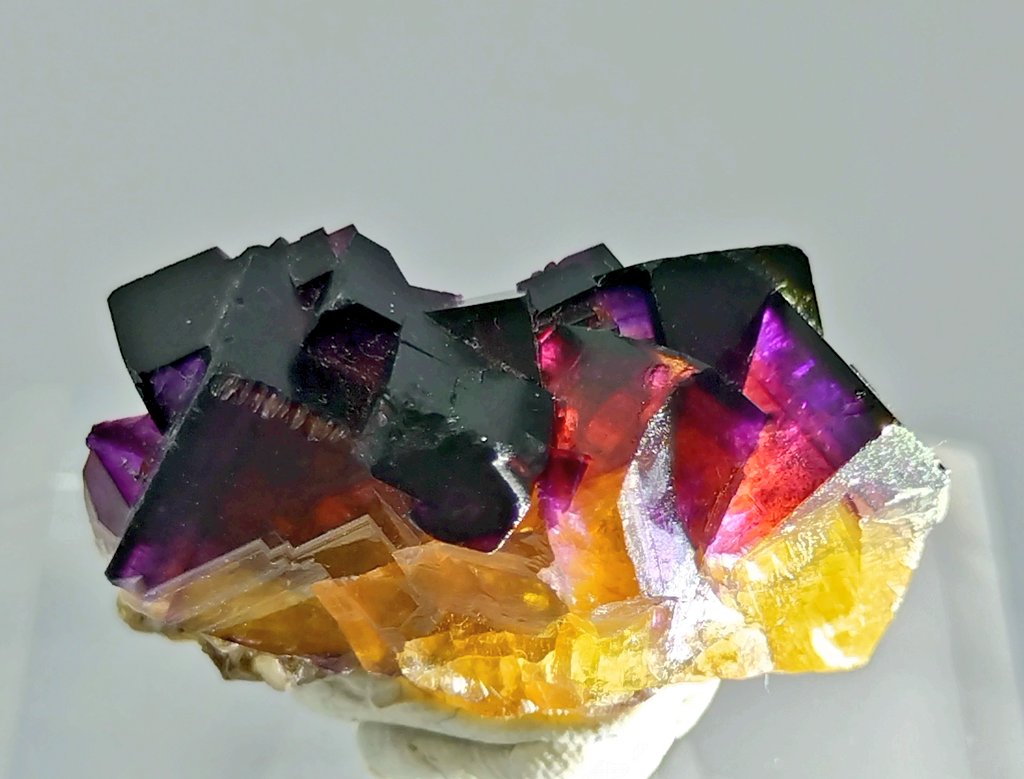 樹(石初級) (@nYxJ2aNXiikgL3e) / Posts / X