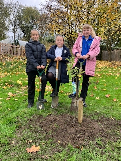We celebrated the #GrowYourOwnGrub winners this morning at <a href="/StokesWoodPS/">Stokes Wood Primary</a>. Well done on their amazing menu, mealbarrow &amp; report. We led a KS2 assembly with a fun food quiz and awards, followed by some fruit tree planting with the gardening group and <a href="/TCVtweets/">The Conservation Volunteers (TCV)</a> volunteers.