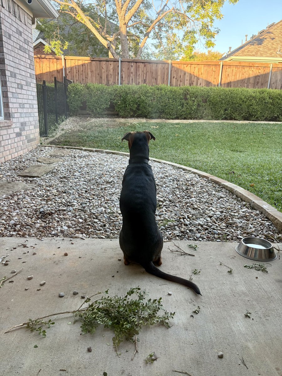 TechOperator's tweet image. It’s a big world out there.