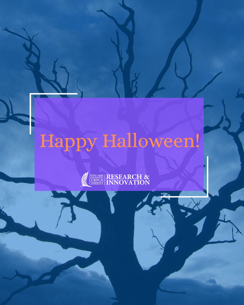 TAMUCC Division of Research and Innovation tweet media