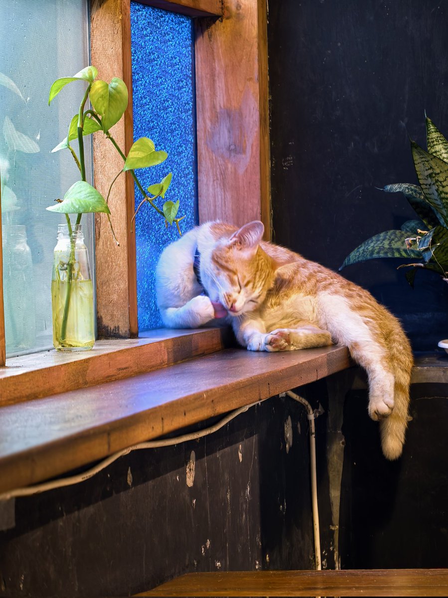 arr_ant's tweet image. Me time .....