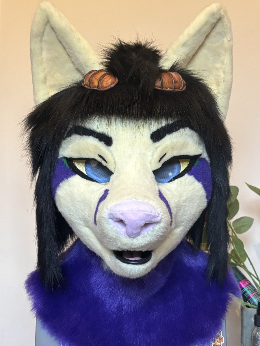 Happy #FursuitFriday and #HappyHalloween !

Bucciarati Foxbee’s full head refurb has been finished! And what a glow up.

Just as before he is on the same base by Kloofsuits , new eyemesh printed by <a href="/FarukuCostumes/">Biglionsden 🦁</a> 

Has Layered fur hair and Velcro eyelids
And a pickable nose.