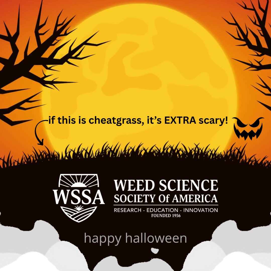 WorldofWeeds's tweet image. Happy Halloween from #WSSA!! 

#weedscience #weedmanagement #invasiveplants #spookyplants #cheatgrass #halloween #happyhalloween