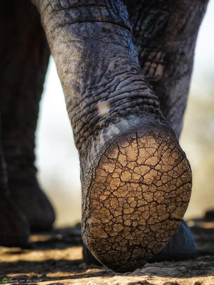 Moses Nasa (@moses_nasa) on Twitter photo 