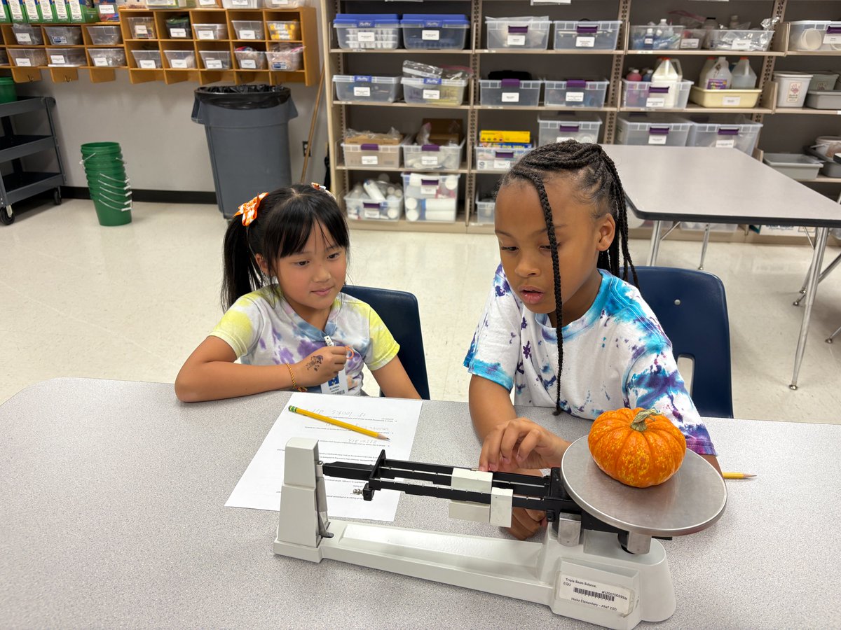 HicksLibrary's tweet image. Measuring the physical properties of mini-pumpkins - collaboration with our science department. Can you tell which pumpkin is yours? How can you prove it? @Alief_AdvAcad @HicksTigers @AliefScience