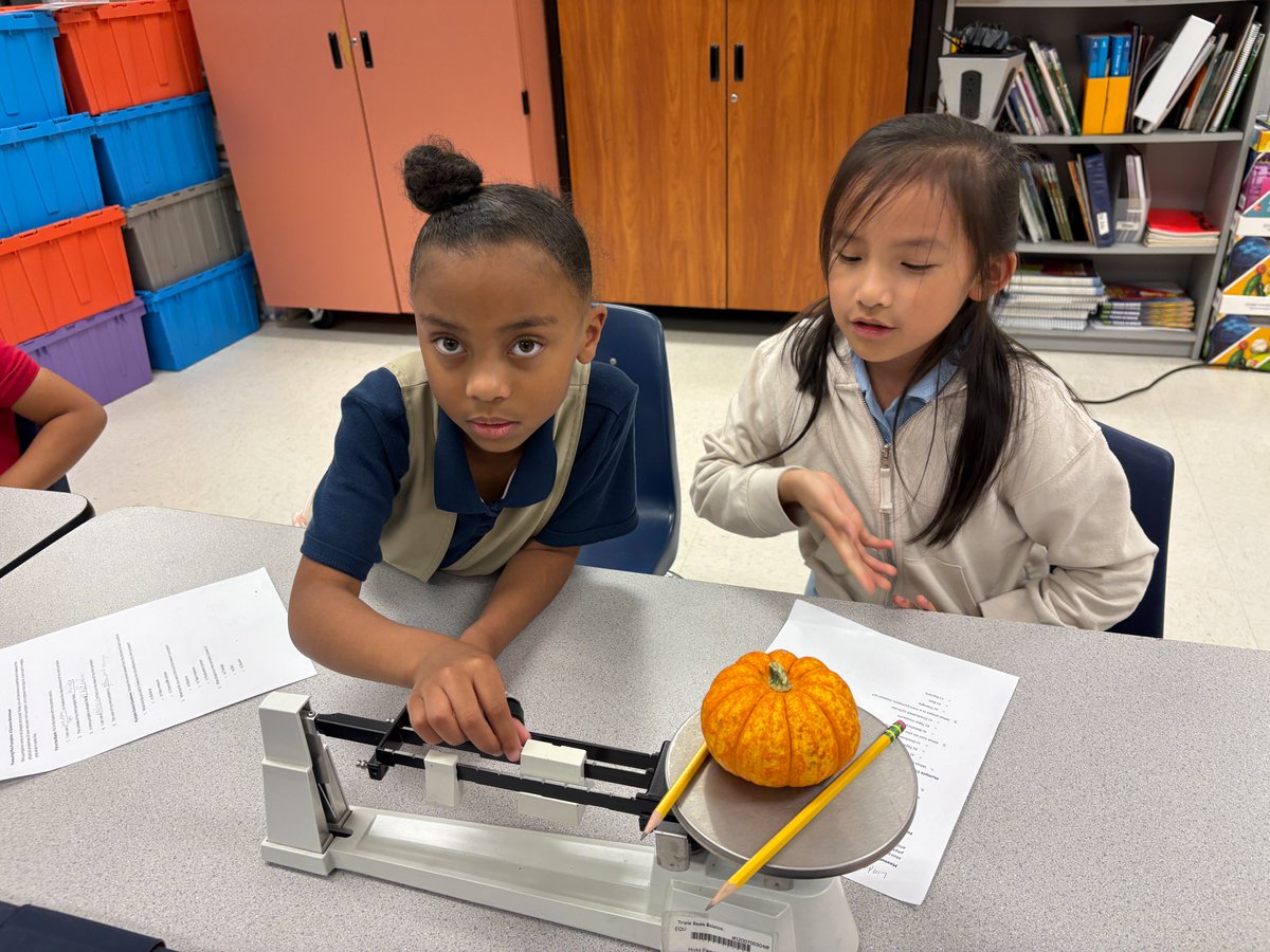HicksLibrary's tweet image. Measuring the physical properties of mini-pumpkins - collaboration with our science department. Can you tell which pumpkin is yours? How can you prove it? @Alief_AdvAcad @HicksTigers @AliefScience
