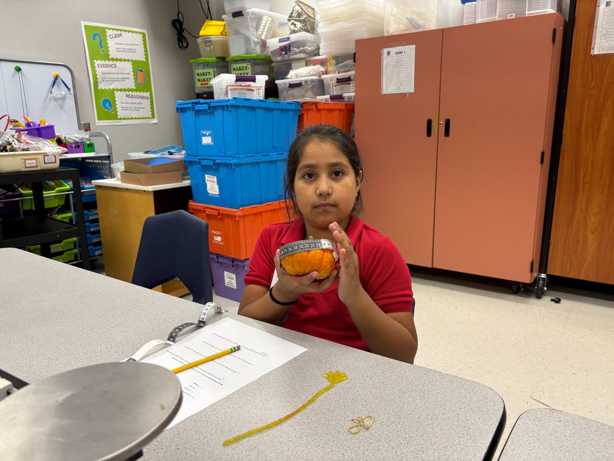 HicksLibrary's tweet image. Measuring the physical properties of mini-pumpkins - collaboration with our science department. Can you tell which pumpkin is yours? How can you prove it? @Alief_AdvAcad @HicksTigers @AliefScience