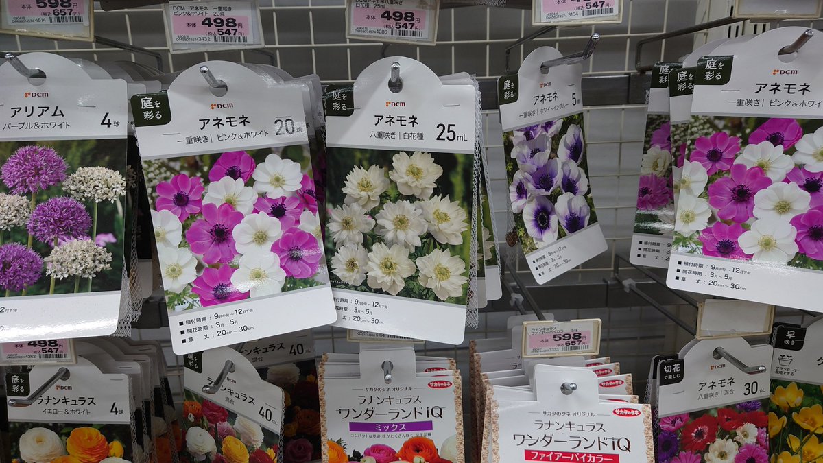 翡翠 トウモロコシ 糸魚川翡翠 ミニ原石BOX（hs059） | 気のせい