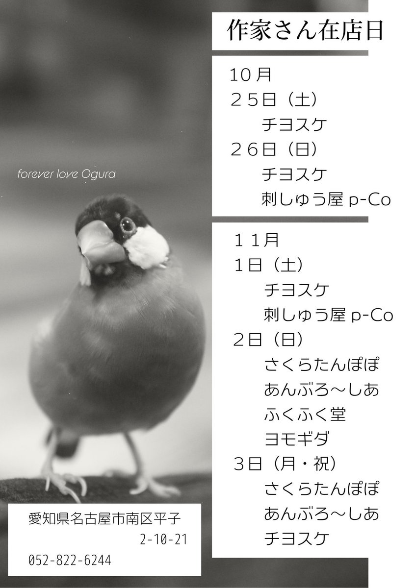 たんぽぽページ さくら たんぽぽ PLUME FACTORY on X