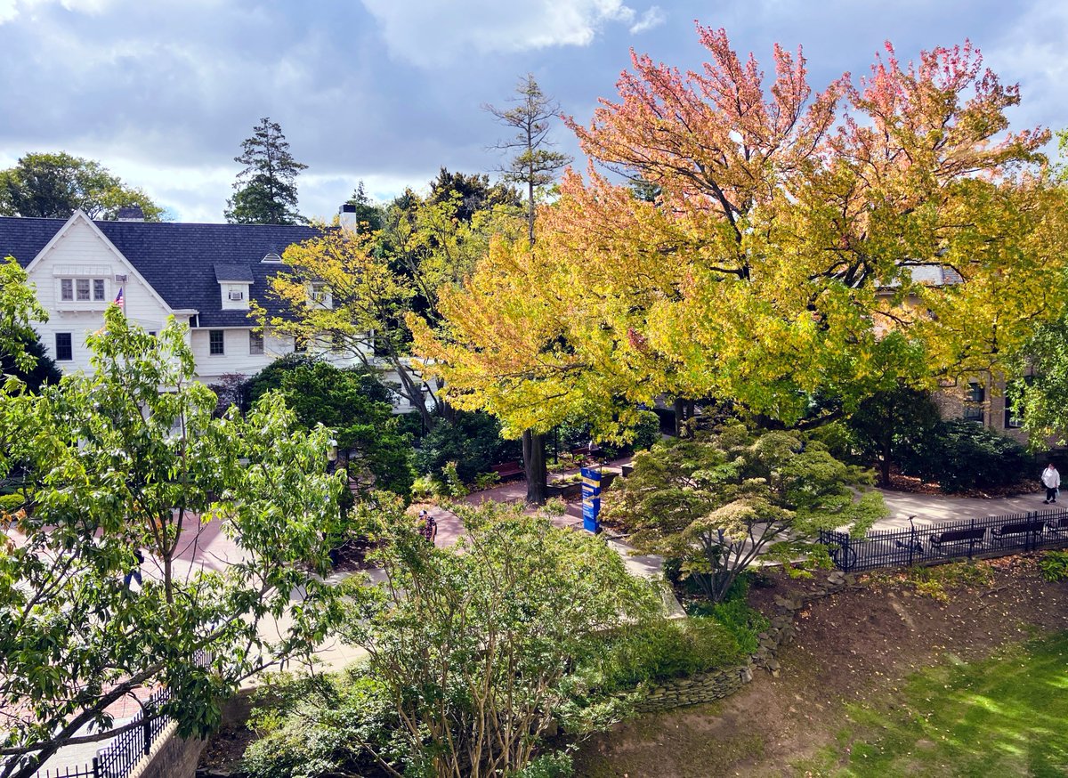 It's been gray and rainy recently, so we're glad we captured these pretty #autumn #hofviews (taken from Axinn Library) earlier in the week. Have a great weekend, <a href="/HofstraU/">Hofstra University</a>! #Hofstra