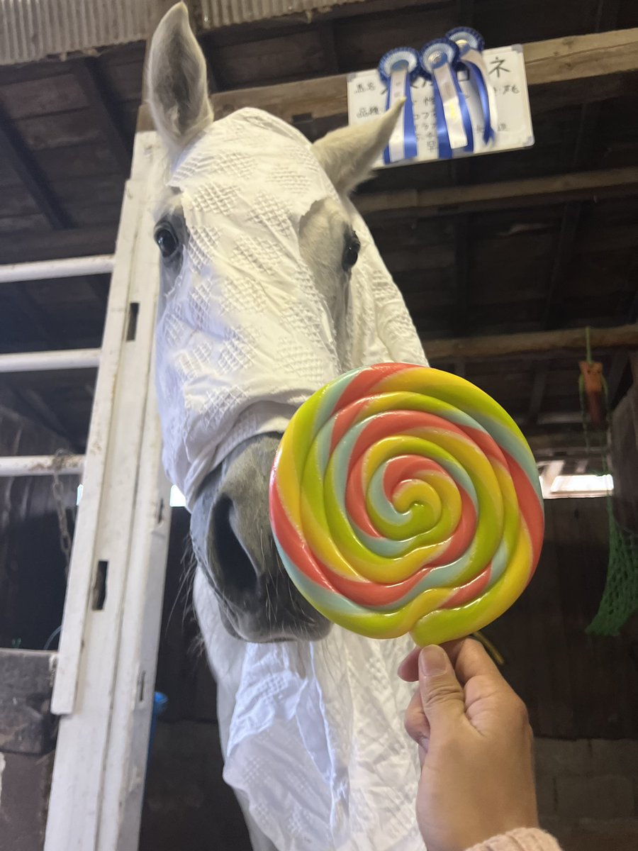 馬の絵 moooo/馬の絵/LINEスタンプ (@suzukakurofune) / Posts / X