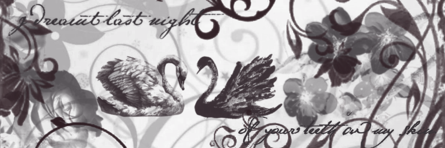 ocultaris's tweet image. 