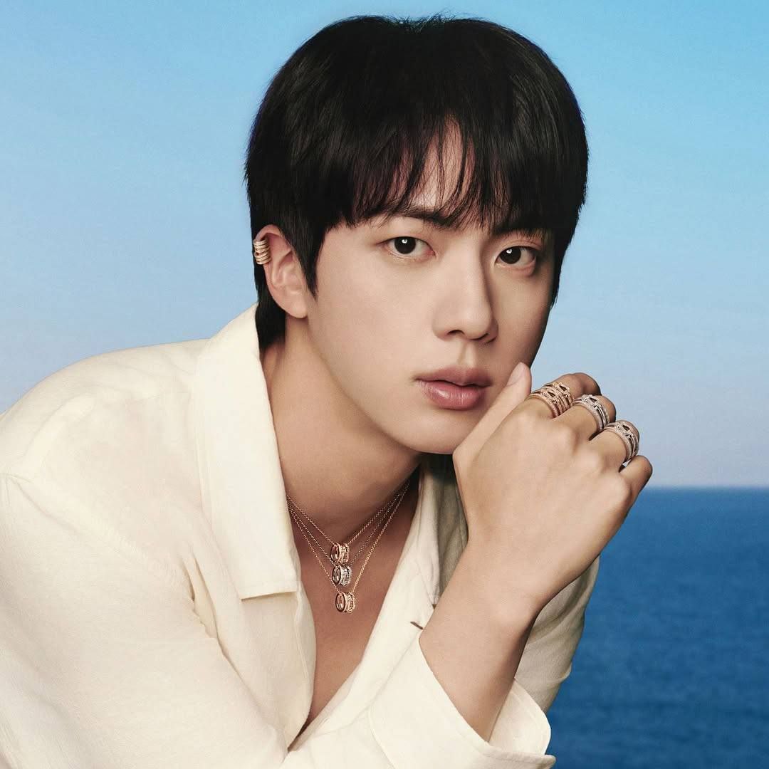 EgreenHedgehog's tweet photo. I’m voting #Jin for the #2025MAMAVOTE https://t.co/tk4Jczx9YG