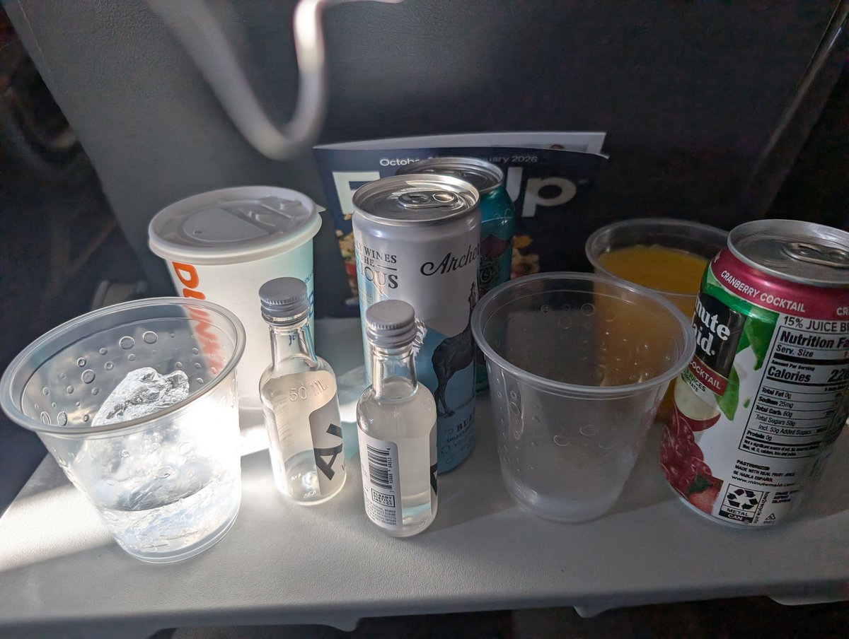 This is how you order on an airplane (2 hour flight to Florida)