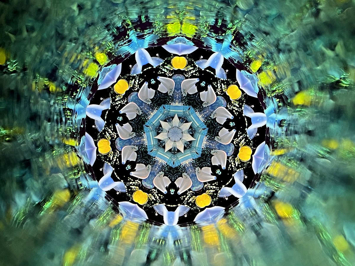 Combo Kaleidoscope 万華鏡 Combo Kaleidoscope 万華鏡