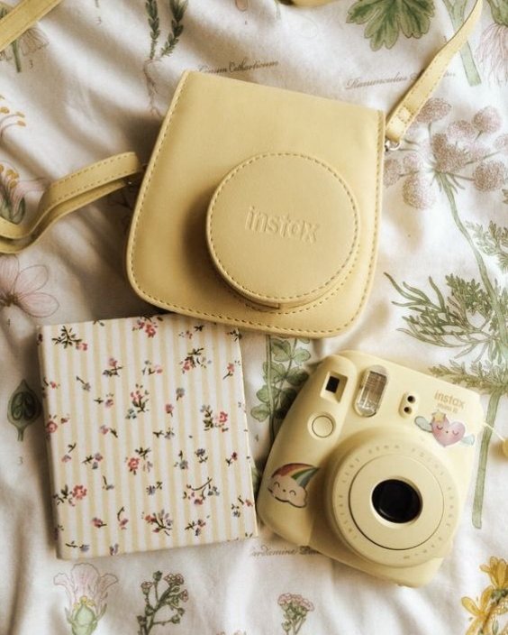 summaerry's tweet image. ㅤ
                  ꒰ #moiCHÉRII ꒱ 
      ᰔᩚ 𝐹𝑟𝑜𝑚 𝑡ℎ𝑒 𝑆𝑢𝑚𝑚𝑒𝑟 𝗗𝗘𝗥𝗔 🍀

CHÉRII~~! Aku baru saja mencoba berfoto dengan camera polaroid yang baru. Menurut kalian, bagaimana hasilnya? (⁠｡⁠•̀⁠ᴗ⁠-⁠)⁠✧

ㅤ