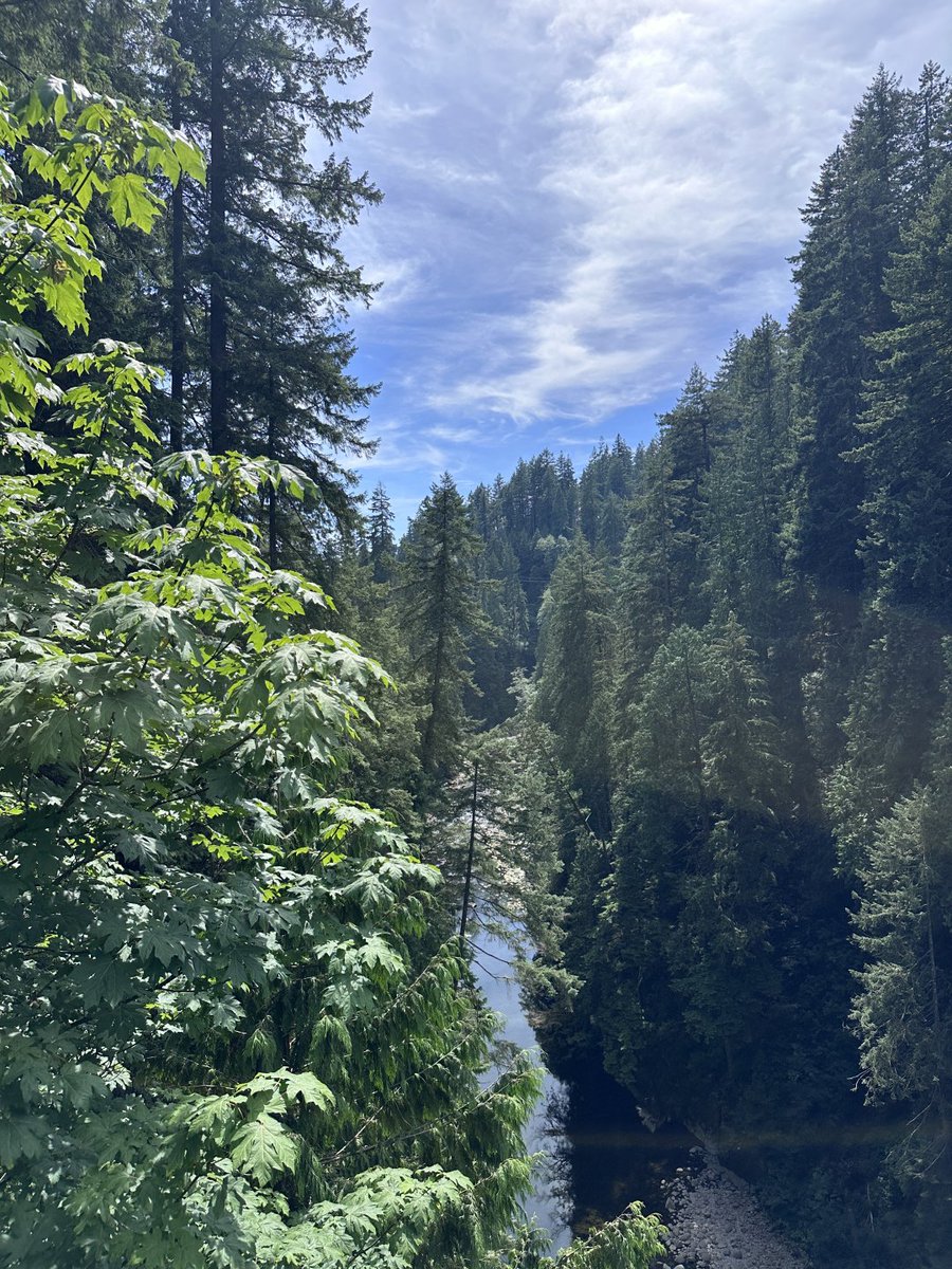 ikastembasi's tweet photo. Canada is truly a natural science lecture hall, serving through nature conservation and always educating the next generation about nature. https://t.co/l8aZOVXQuI