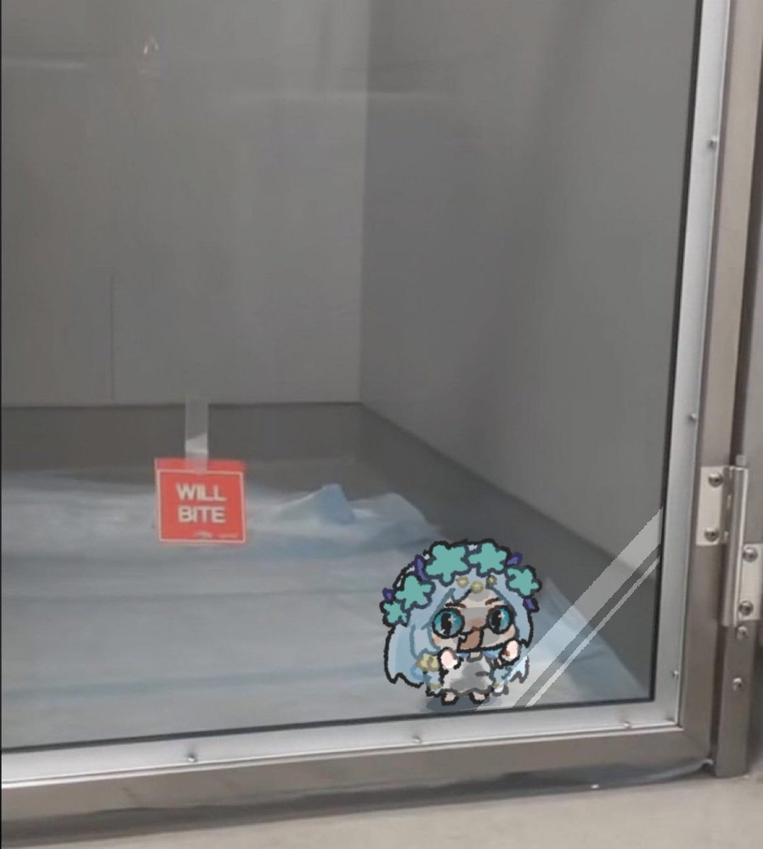 UoU (@uouzzzzzzzzzzzz) on Twitter photo 