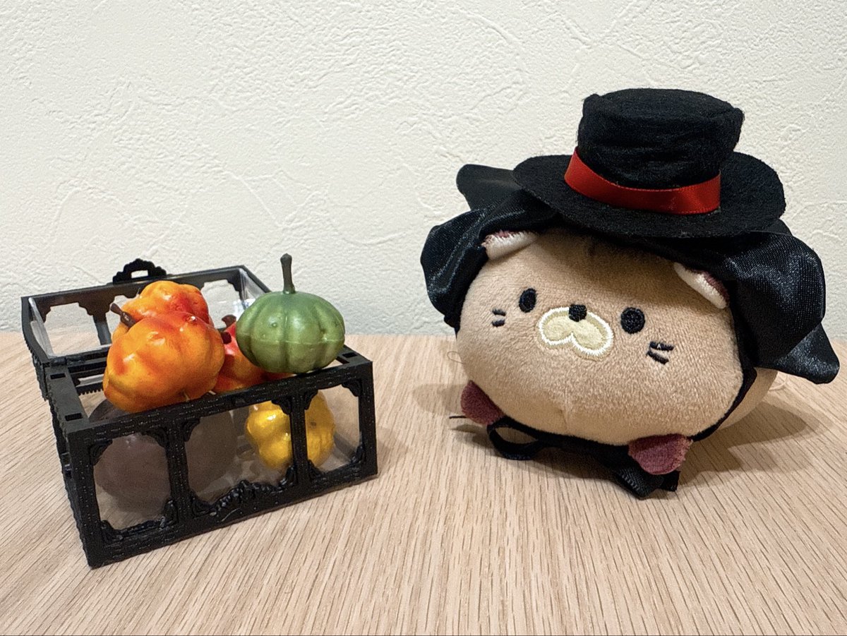 GOROZO5656's tweet photo. 🎃🪄

#Halloween  
#ごろねこサミット
#アオキ https://t.co/yDBFLEPHJS