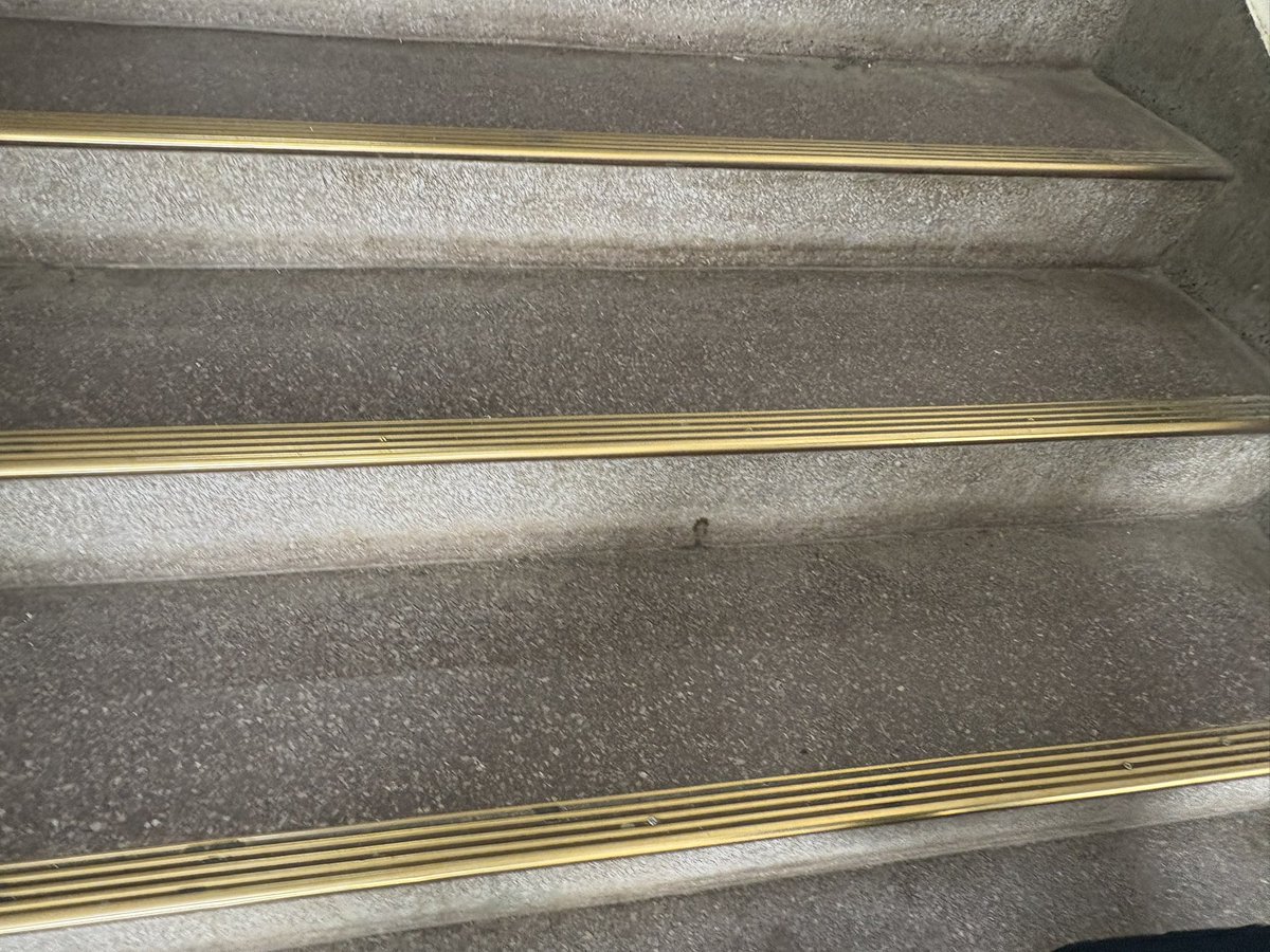 ぽろぽ (@poropo1133) / Posts / X