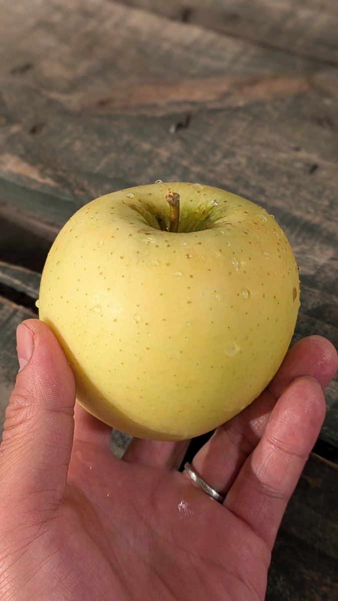 北沢毅/リンゴ野郎🍎 (@kita0244) / Posts / X