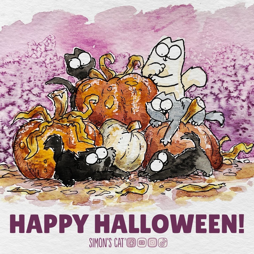 Happy Halloween! 😾🎃🦇