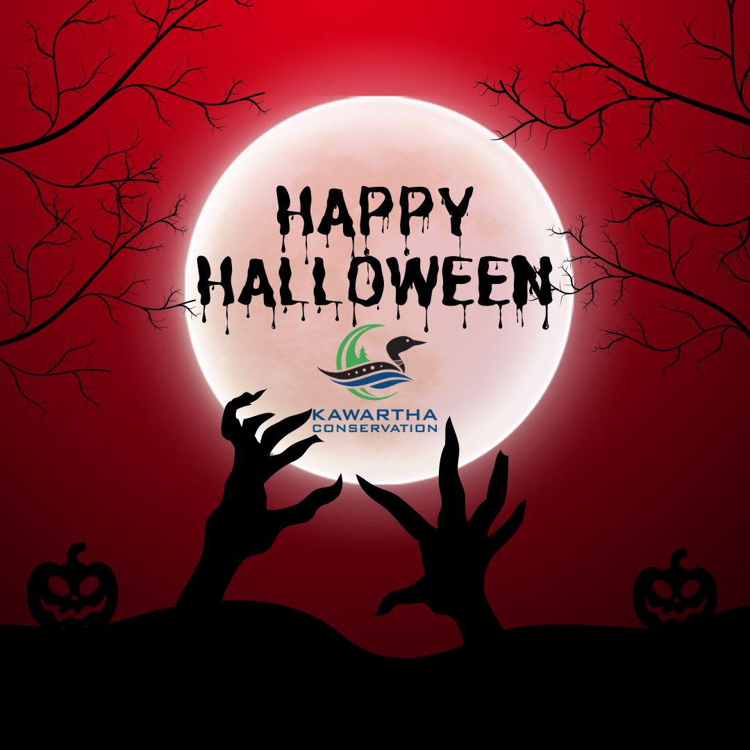 Happy Halloween! 🎃
Watch for little ghosts and goblins tonight and drive carefully.
Have a fun and safe Halloween! 🧡

#Halloween #SafetyFirst #TrickOrTreat #KawarthaConservation