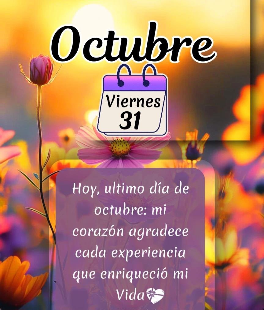 DelValleGreen's tweet photo. Gracias ⚘️ Gracias ⚘️ Octubre ⚘️ https://t.co/zUvCZqK7qC