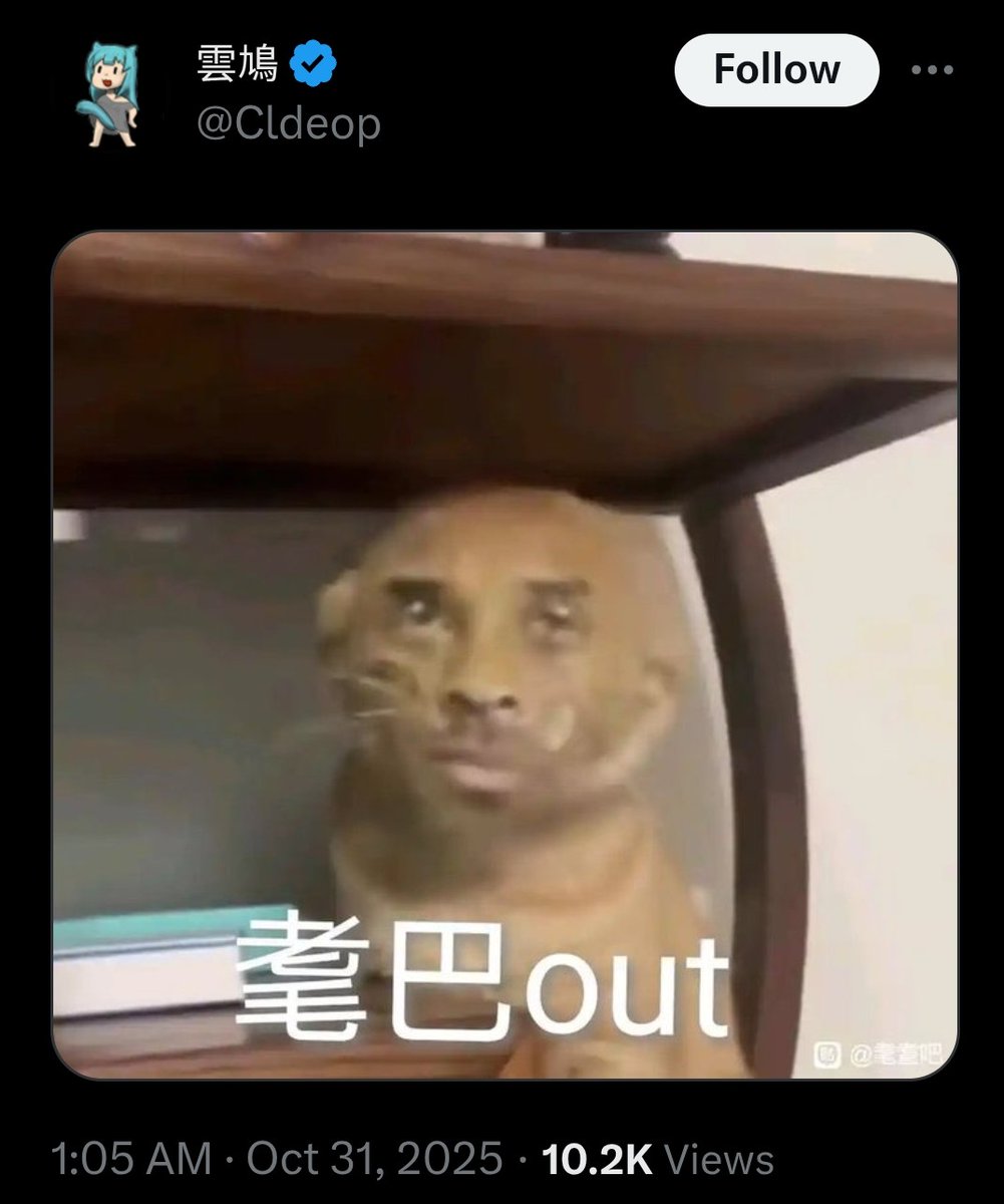 PhaedraXTeddy's tweet photo. Chinese 🇨🇳 language account glorifies cat rape and cat abuse Memes for over 80 thousand 🇨🇳 followers.
"Yes, @ Cldeop
is a monetized X account eligible for views-based earnings through X's Ads Revenue Sharing program.The account, run by "雲鳩 - @yunjiu
" (a Chinese-language creator focused on biology, lifestyle, and memes), has 86,385 followers and Blue Verified status, which is required for X Premium and monetization access. Recent posts (from October 2025) consistently show high engagement: for example, one post has 227,071 views with 1,893 likes, another has 51,402 views with 350 likes, and several exceed 20,000–50,000 views each. Over the last three months, this easily surpasses the 5 million impressions threshold needed for eligibility, as confirmed by X's 2025 creator standards (e.g., Premium subscription, 500+ followers, 5M+ impressions, and good standing).No direct payout mentions were found in posts or searches, but the metrics confirm active participation in the program, where earnings come from ads shown to verified users viewing replies. The account's content (images, memes, and interactions) aligns with X's guidelines for revenue sharing."