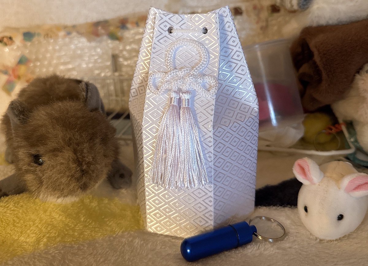 mutappiii's tweet photo. ムタ…小さくなって帰ってきたよ。
おかえり。

良いデグ生だったかな……
ムタとの思い出、ムタからもらった愛情、全部全部忘れないからね。
…下僕はまだまだ当分泣いてしまう日々かもしれないけど、少しずつ前を向いていくからね。

ムタもどうか安らかに…49日の間は近くで遊んでいてね🌱

#デグー https://t.co/AmYaUZgkuH