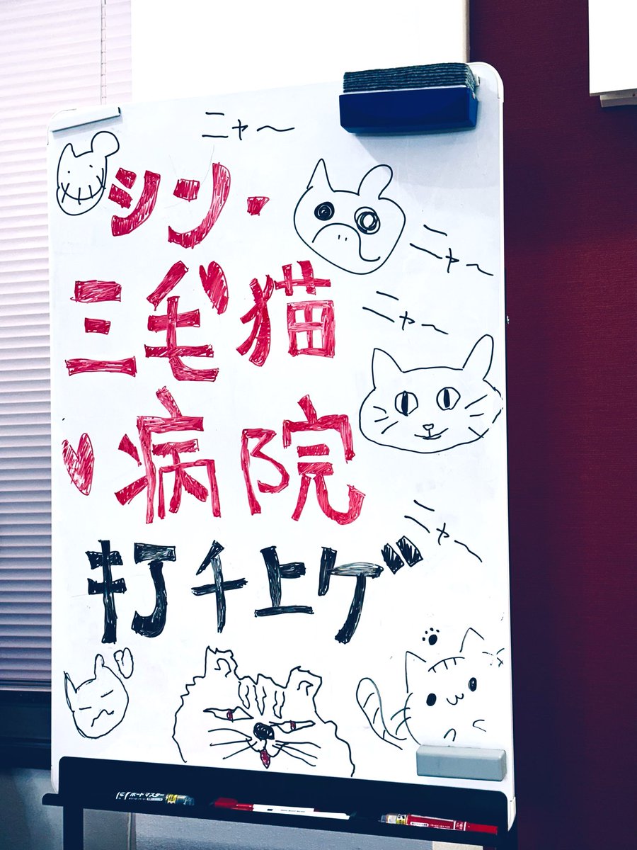 Plastic TreeCD23枚/DVD1枚/有村竜太朗/猫患者/初回限定版 Plastic