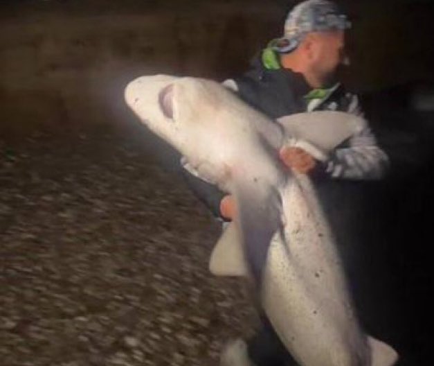 damiyedek (@damidiyebilrsin) on Twitter photo 