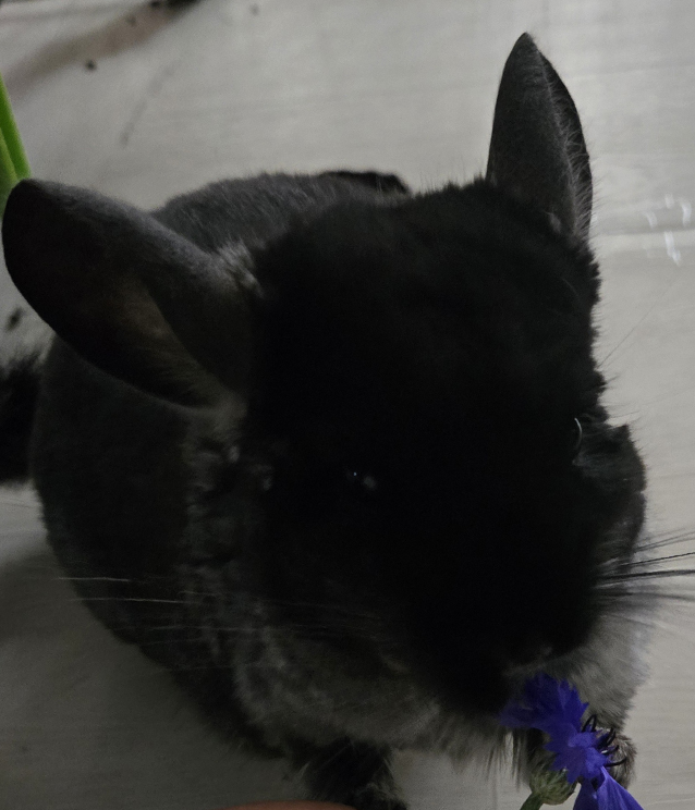 김은지 tweet media