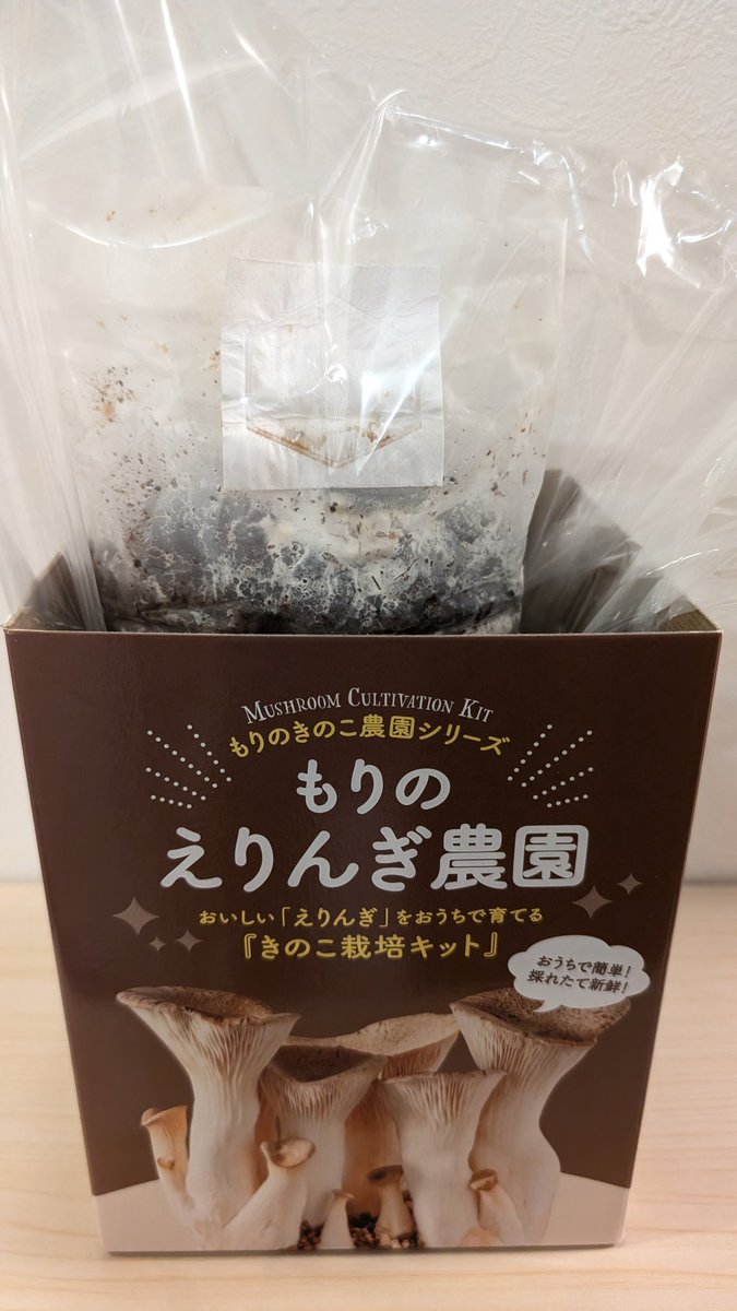 饅頭の申し子 まんじゅう工房🥟 on X