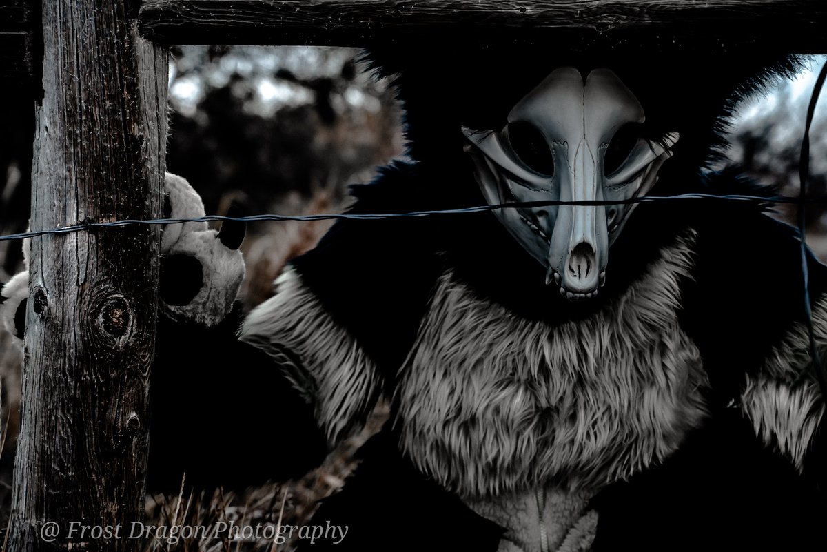 Daragreywing's tweet photo. Be careful out there
#fursuitfriday
Happy Halloween 🎃 🔪
Photo by @FrostDragonPTY 
👔 Hierocraftcreations and @CantofTogs https://t.co/FoAypPHRs9