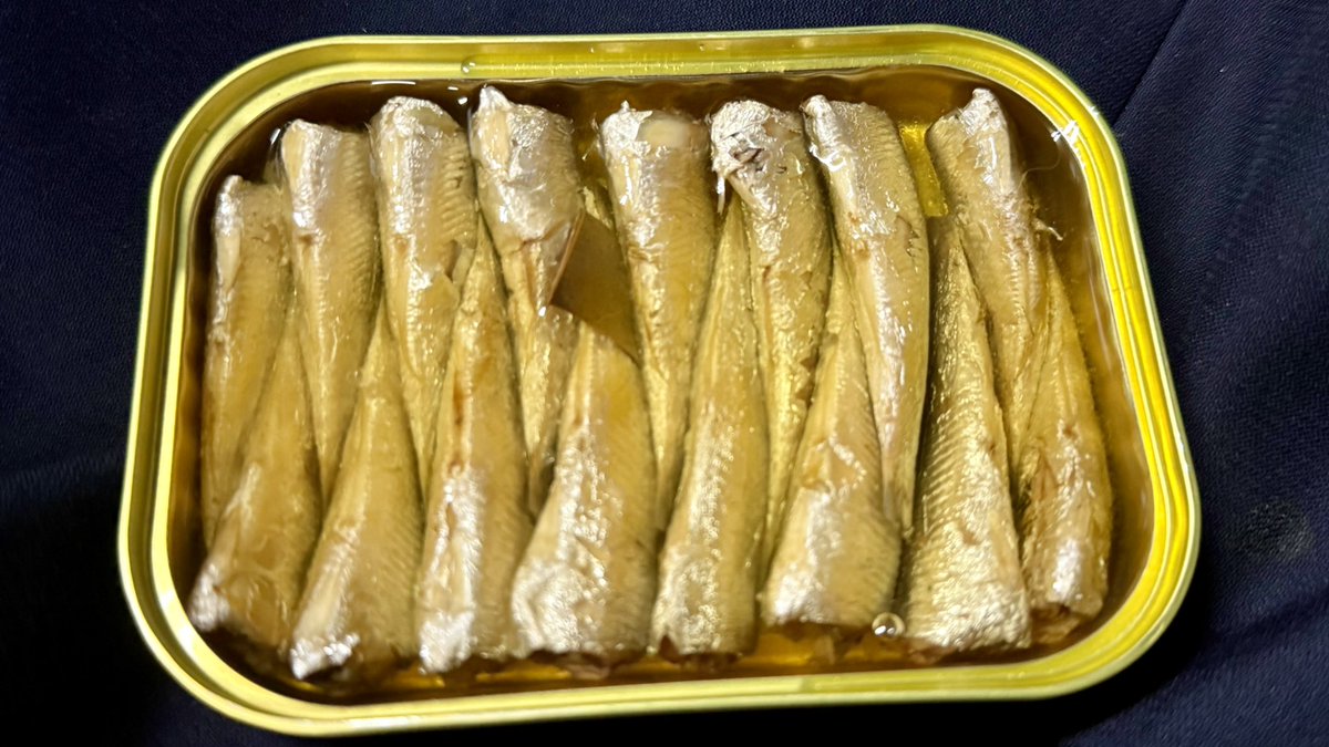 ゴン太【JUNE-YA】 (@U_GONTA) / Posts / X