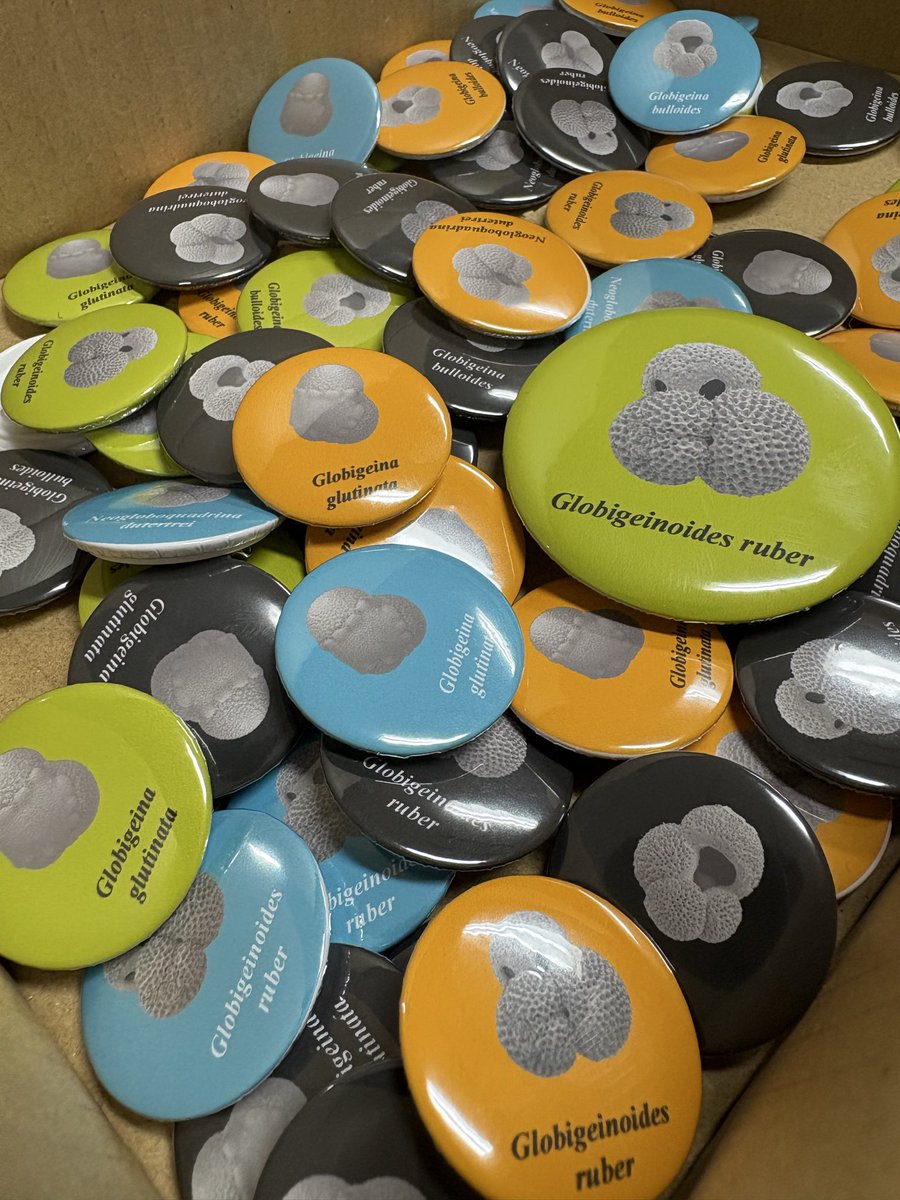 abAK様 ピンバッジ Amazon.co.jp: ピンバッジ 八咫烏 ヤタガラスをデザインした