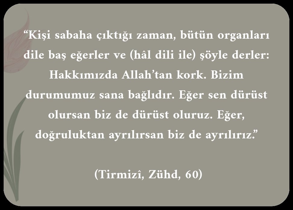 Yigitning qozi qiyshiq bolgani yaxshi