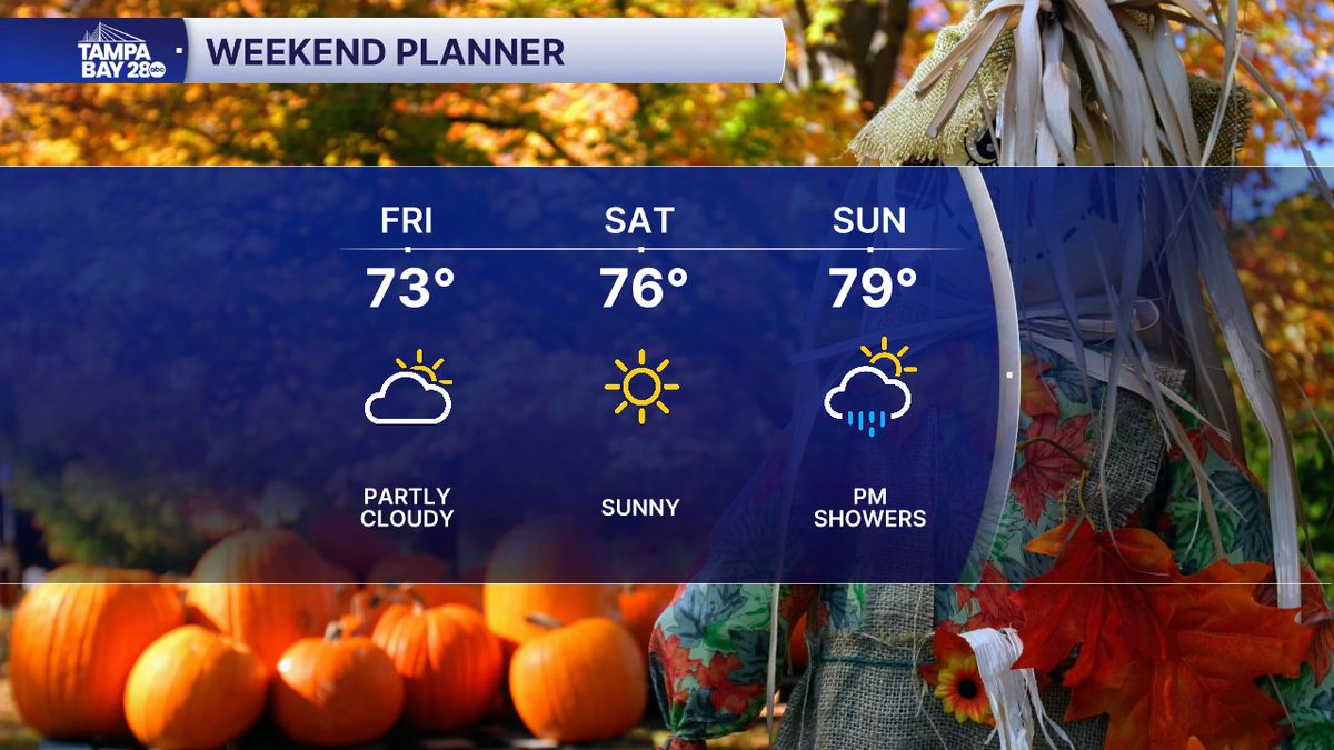 Greg Dee tweet media