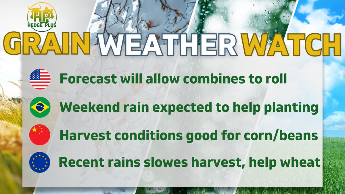 Combines will roll through the weekend then most of the Corn Belt will lean into a drier bias going forward. China's weather gets their harvest back on track while recent rain in Europe may have slowed harvest. Brazil will see rain that should help keep the planters rolling