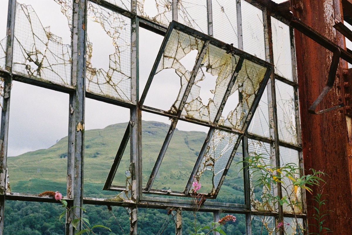 executeble's tweet image. post a picture YOU took. just a pic. no description. 🤍