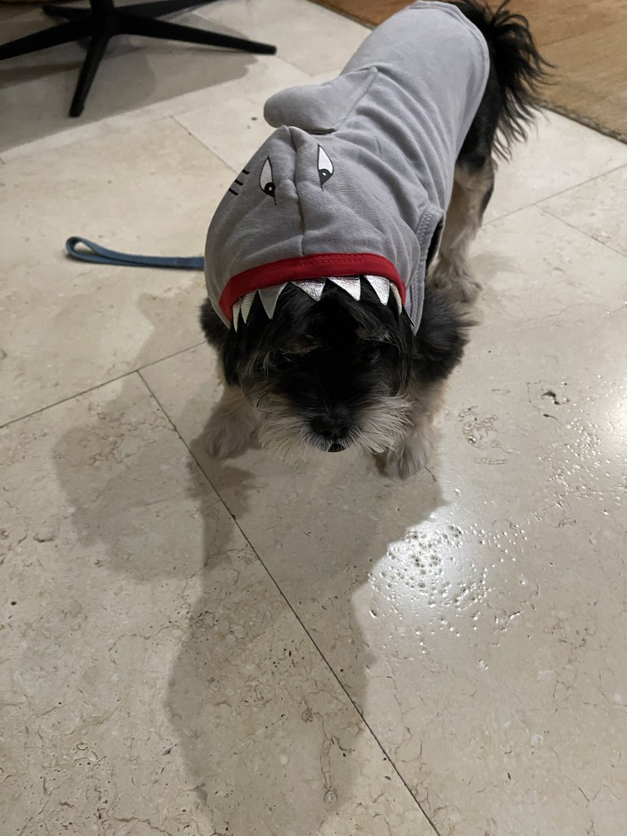 Teresa Rodriguez tweet media