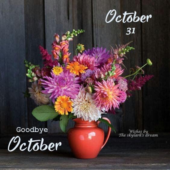 <a href="/mutakabbir37287/">Al Mutakabbir Roni</a> <a href="/arturo_ortiz_87/">Arturo Ortiz 1087</a> <a href="/ma_yeth/">[★][★]</a> <a href="/Geovohm/">GEO 🐅 CAT</a> <a href="/vzke268/">Antonio Freitas</a> <a href="/_MaryEly_/">💛 𑜞᭄ MaryEly🌻</a> <a href="/FlorMeninnaa/">Regina Dua Lipa Brasil</a> <a href="/seraichiban3/">伊緒里のセーラー服🇯🇵🍥⏰🦄🌈🇫🇷🍒🌸💫</a> <a href="/preje2003/">محمد عثمان البريجي</a> <a href="/FlorOrtiz133576/">Luna ,🥰</a> <a href="/AALAALSh/">AAAA</a> <a href="/sitaravirgo/">$ÎTÂRÂ_$TAR💫🌟</a> <a href="/JrJuancho91/">juan rincon</a> <a href="/spunky1313/">S͠t͠e͠p͠h͠a͠n͠i͠e͠</a> <a href="/Eminenc73043880/">Eminence 🇿🇲🇿🇦🇨🇦🍆🍒</a> <a href="/fantasy32466769/">fantasy</a> <a href="/Ximedivarela/">Ximena Varela</a> <a href="/89BrownSugar/">WILL MA</a> <a href="/Muhammad316khan/">Muhammad Haris</a> <a href="/VecerJutro/">Vecer Jutro</a> Goodnight dear friend ✨🌝✨...