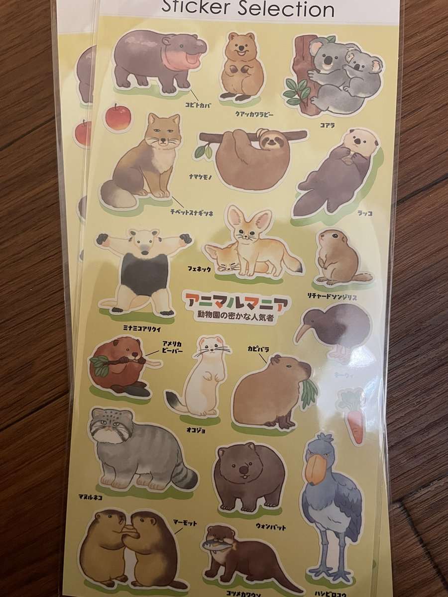 カピ バラ様ꕤ*.゜ カピバラさん【公式】 on X