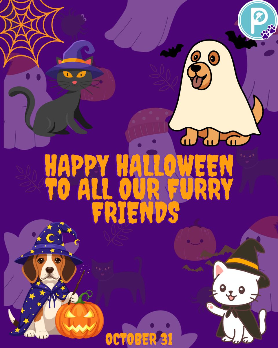 pawlidays365's tweet image. Wishing you a spooktacular Halloween from Pawlidays! May your pets chase ghosts, wag tails, and enjoy a paw-sitively fun night! 
#HappyHalloween #HowlOWeen #Pawlidays  #SpookySeason #TrickOrTreat #Halloween2025 #FamilyCostumes #PumpkinCarving #TrunkOrTreat #HauntedHouse
