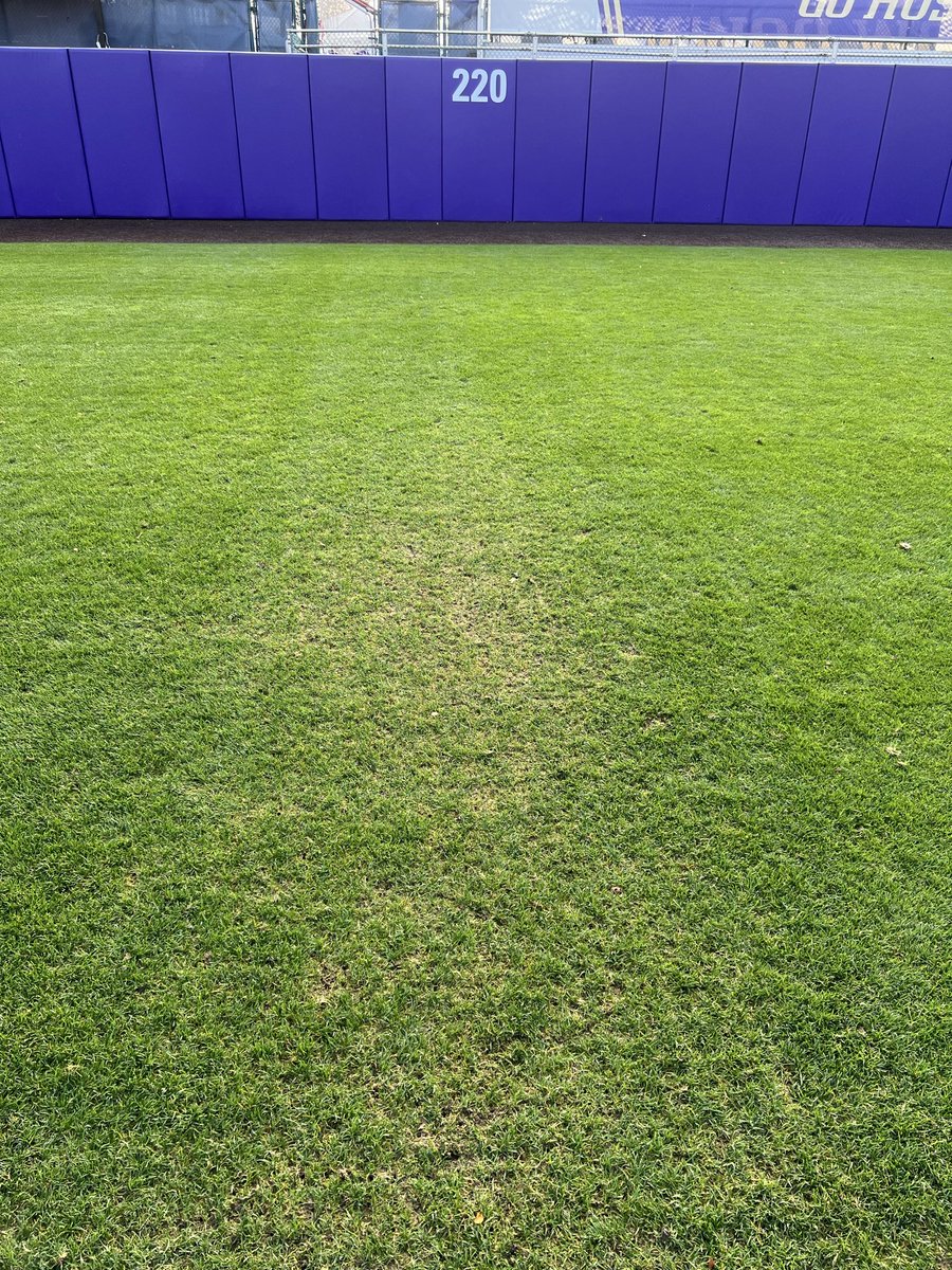 Fall practice season is Slowly coming to an end. And the grass is thankful