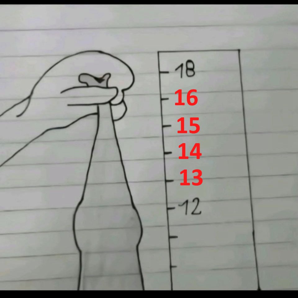 <a href="/Driko082/">Driko</a> o cara mentiu até na régua...pqp