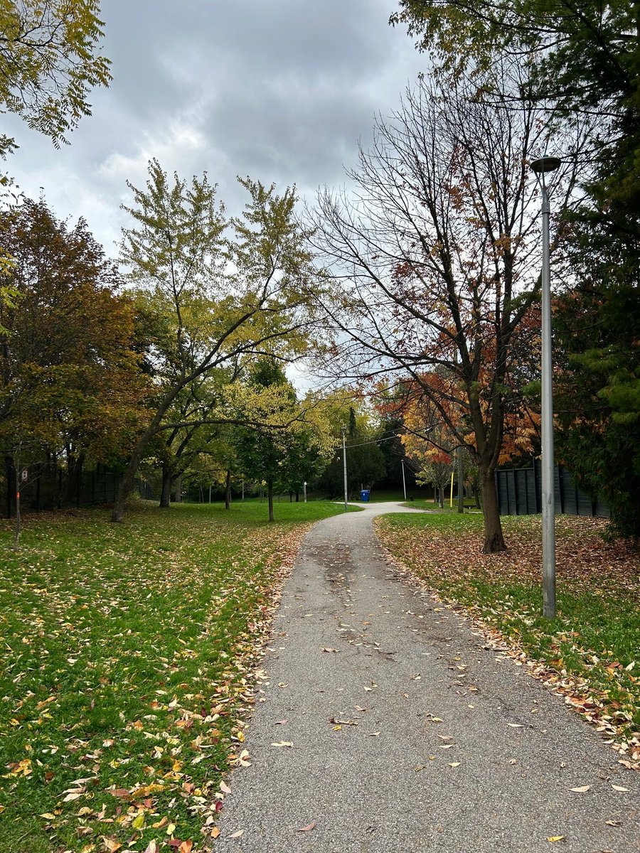 Virginia Torrie, JD, ICD.D (she/her) tweet media